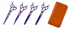 Zayani Purple Premium Light Set